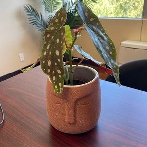 Meet your Posher, Dominique